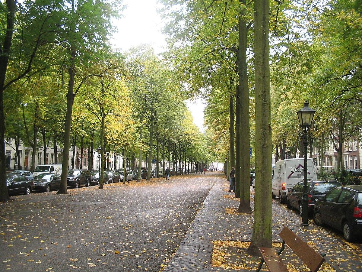 Χάγη Οδός Lange Voorhout