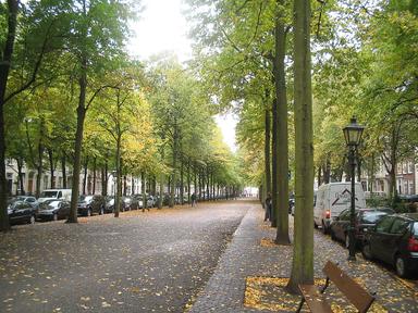 Οδός Lange Voorhout