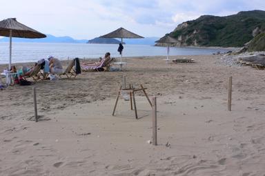 Γέρακας