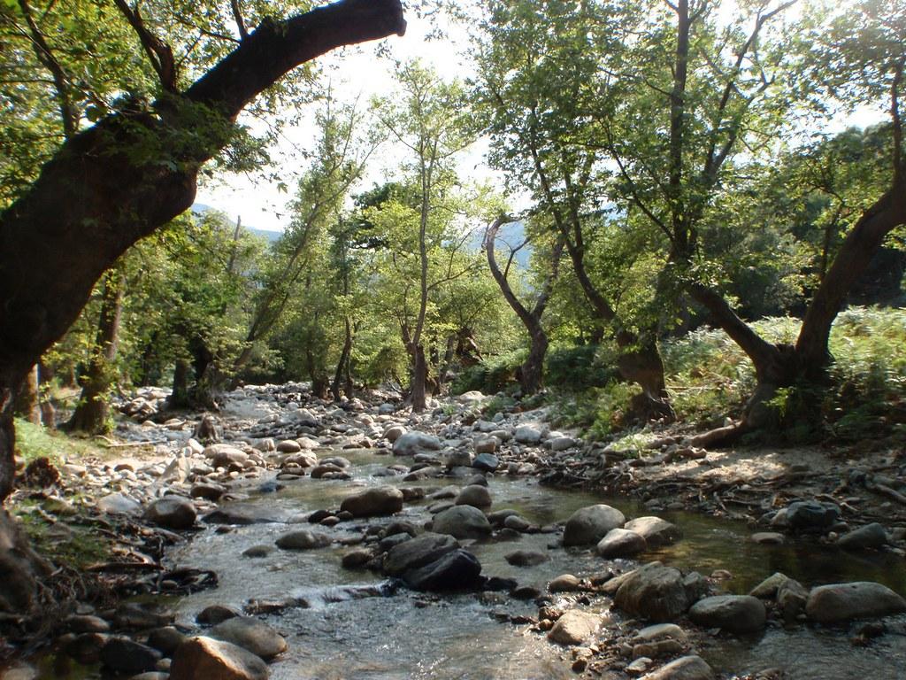 Σαμοθράκη - Φυσικός Πλούτος της Σαμοθράκηςadb