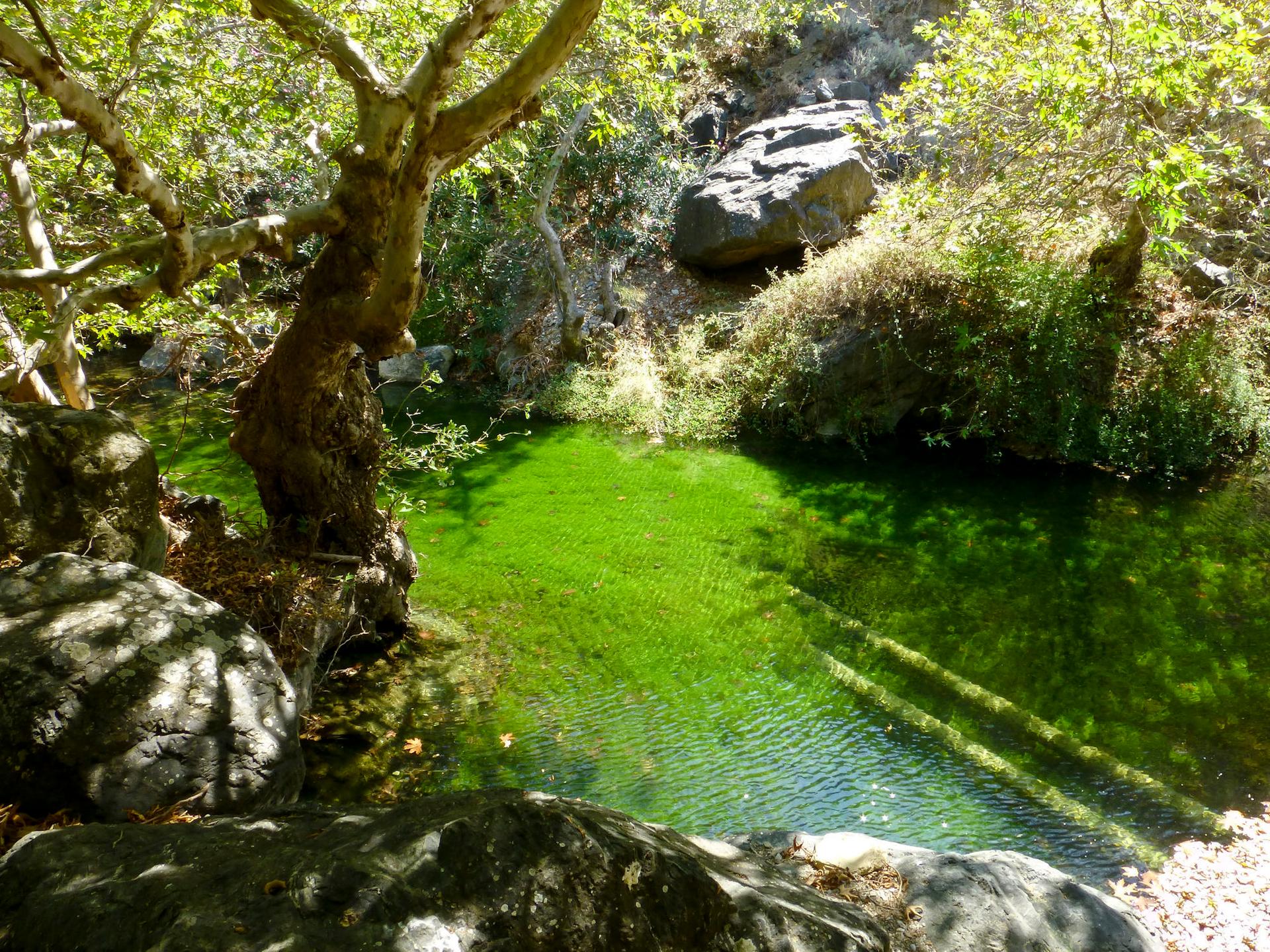 Αξιοθέατο Σητεία Φαράγγι του Ρίχτη