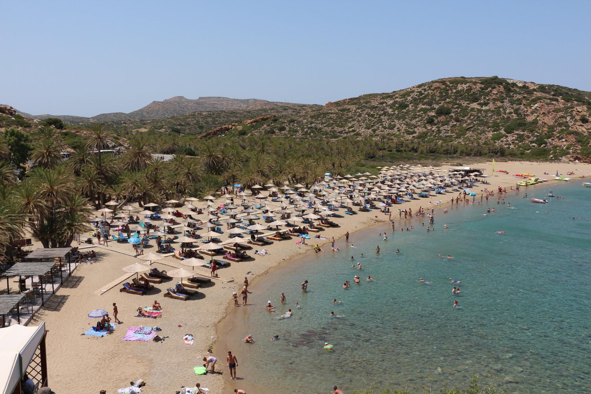 Αξιοθέατο Άγιος Νικόλαος Λασιθίου Φοινικόδασος Βάι
