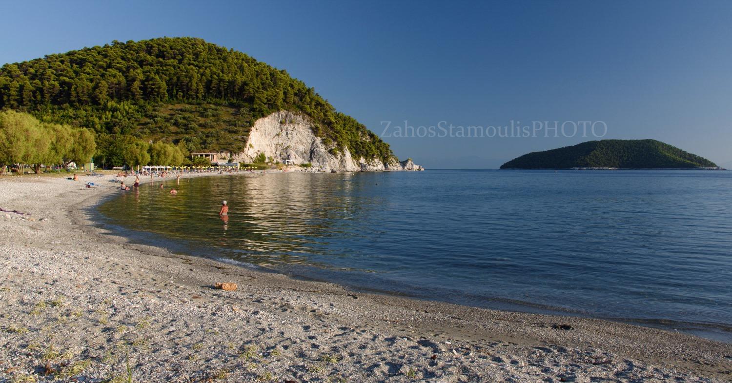 Παραλία Καστάνη στη Σκόπελο, ομπρέλες και πεύκα που φτάνουν ως την αμμουδιά και προσφέρουν φυσική σκιά σκοπελοσ παραλιεσ