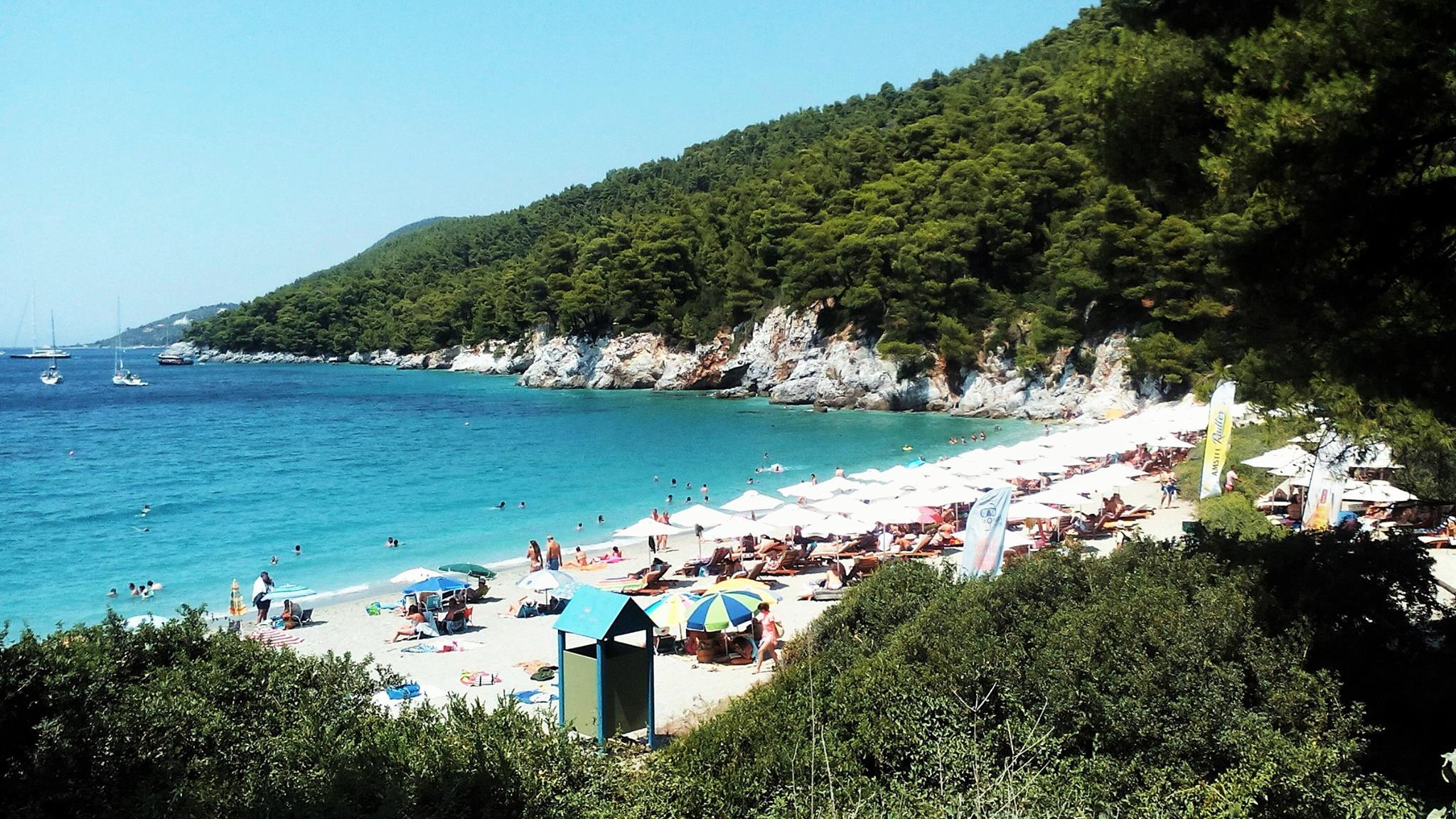 Παραλία Καστάνη στη Σκόπελο, ομπρέλες και πεύκα που φτάνουν ως την αμμουδιά και προσφέρουν φυσική σκιά