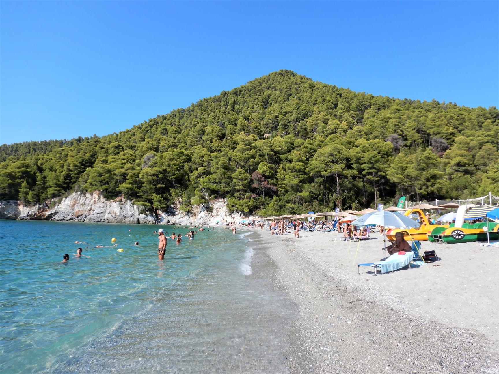 Παραλία Καστάνη στη Σκόπελο, ομπρέλες και πεύκα που φτάνουν ως την αμμουδιά και προσφέρουν φυσική σκιά
