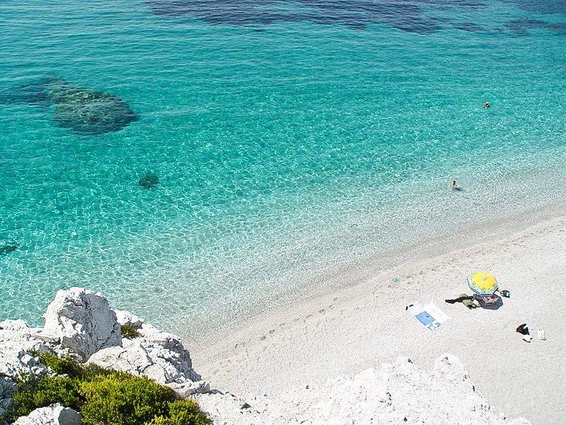 Παραλία Καστάνη στη Σκόπελο, ομπρέλες και πεύκα που φτάνουν ως την αμμουδιά και προσφέρουν φυσική σκιά σκοπελοσ παραλιεσ