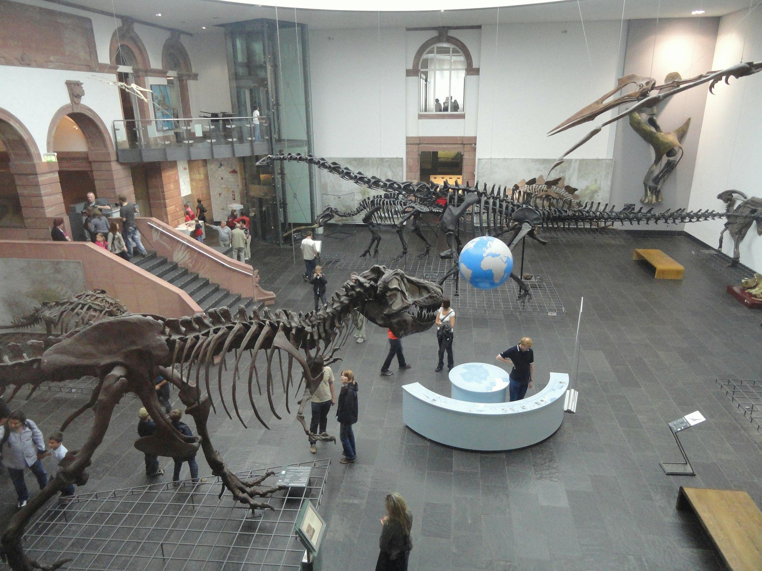 Φραγκφούρτη - Μουσείο Φυσικής Ιστορίας της Φρανκφούρτης9ee