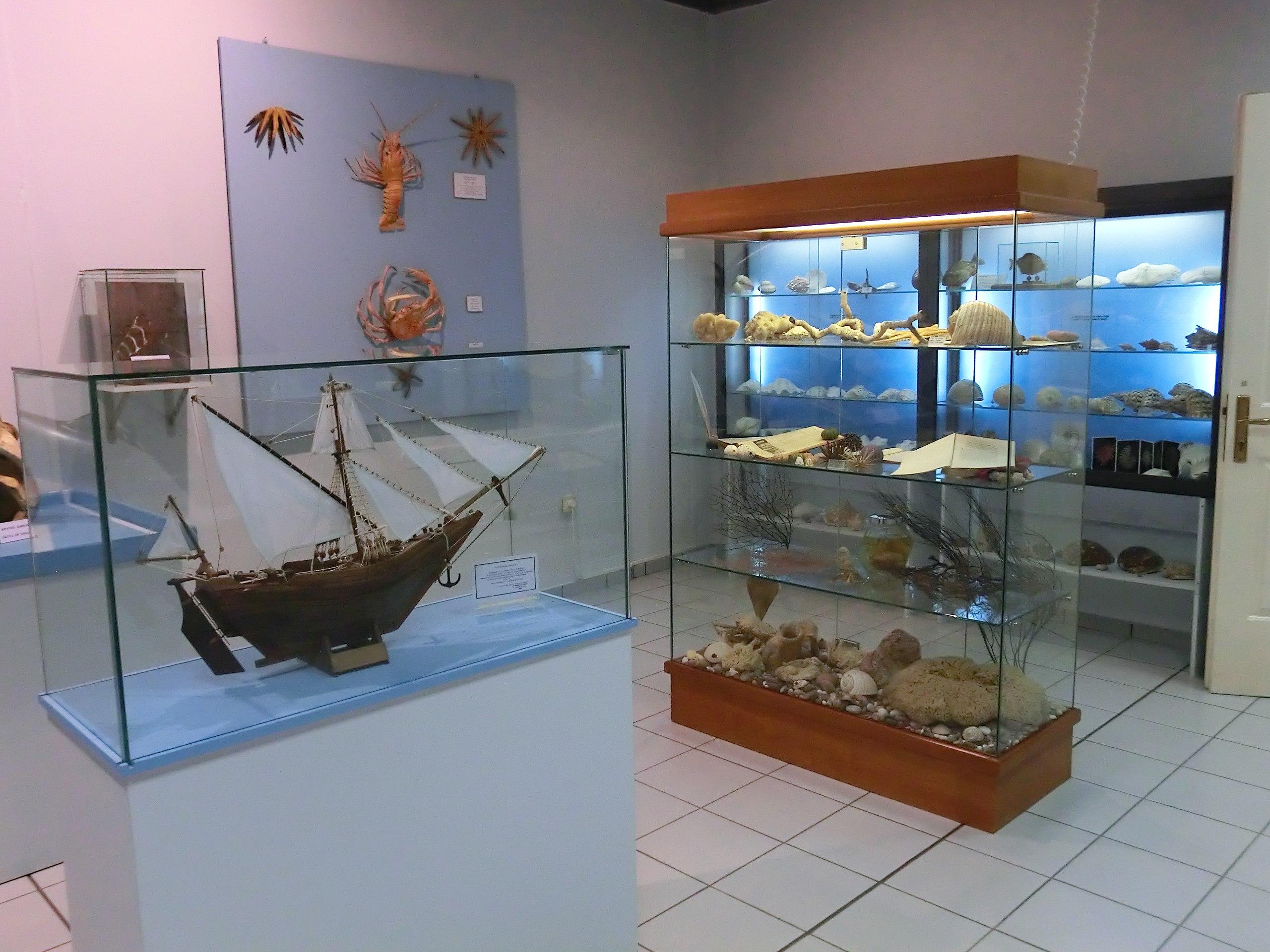 Σάμος - Μουσείο Φυσικής Ιστορίας Αιγαίουd2d