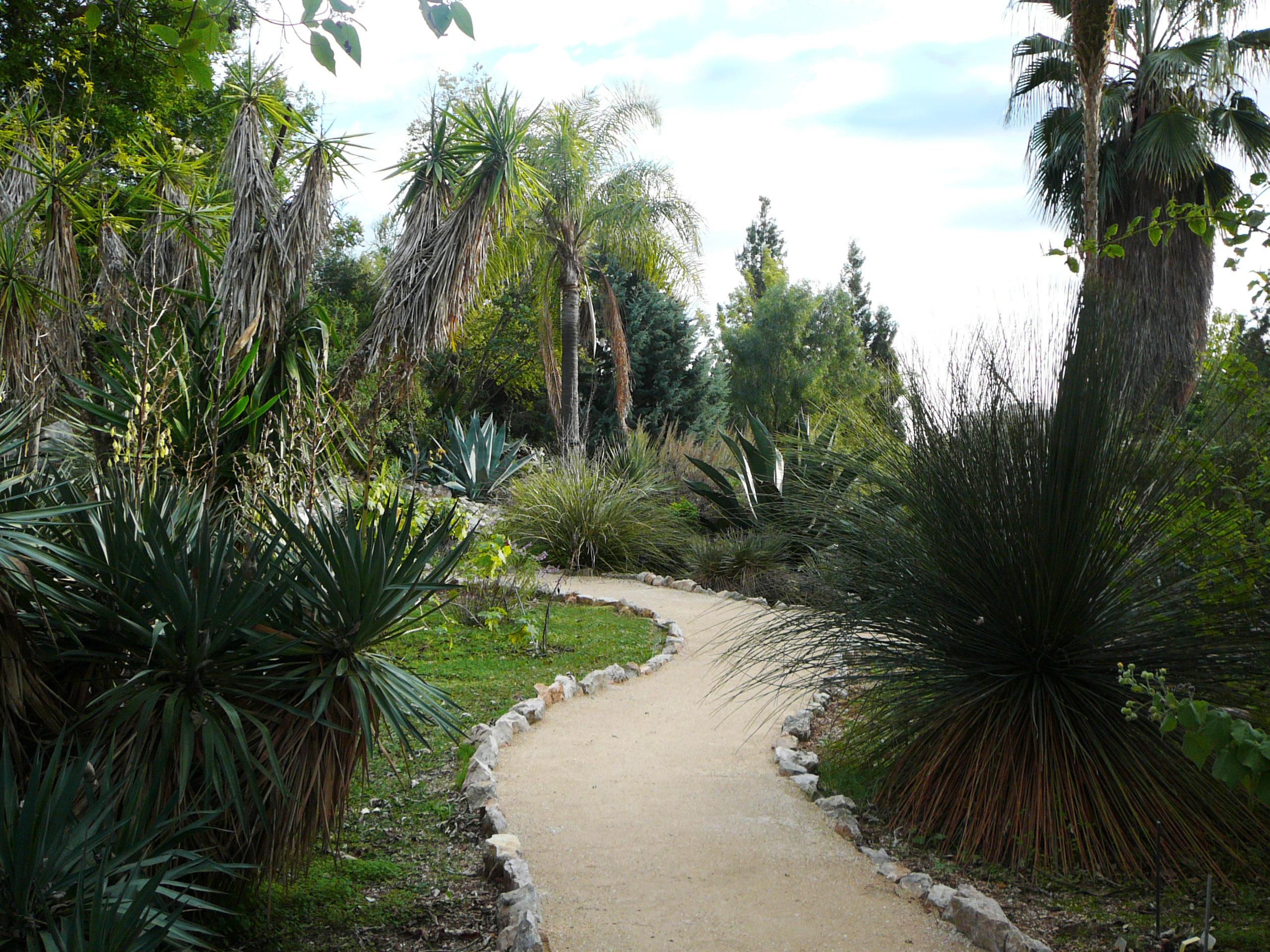 Νίκαια - Βοτανικός Κήπος της Νίκαιας564
